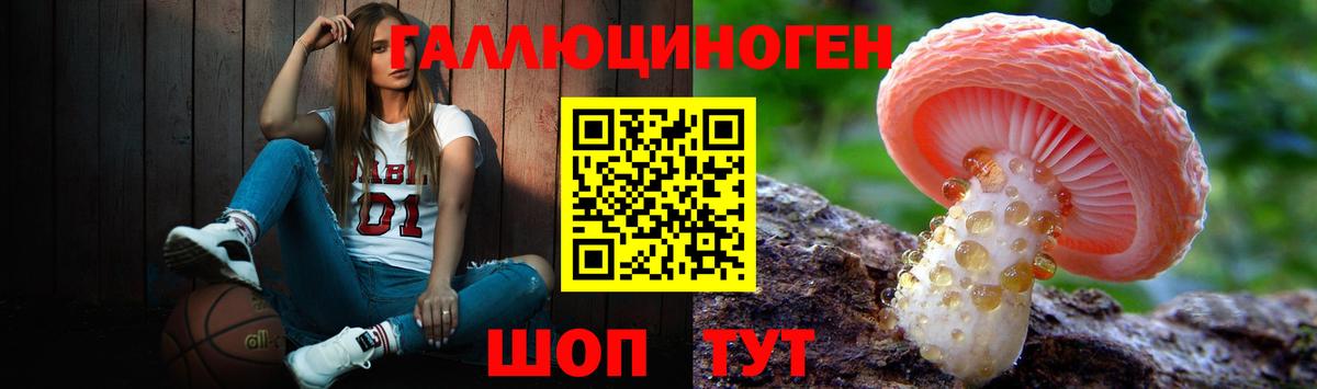 Куйбышев  Псилоцибиновые грибы Cubensis  Вход с VPN 